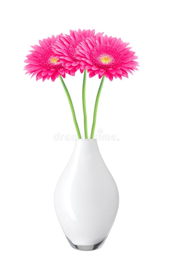 Όμορφα ρόδινα λουλούδια μαργαριτών gerbera στο βάζο που απομονώνεται στο λευκό στοκ εικόνες Όμορφα ρόδινα λουλούδια μαργαριτών gerbera στο βάζο που απομονώνεται στο λευκό στοκ εικόνες