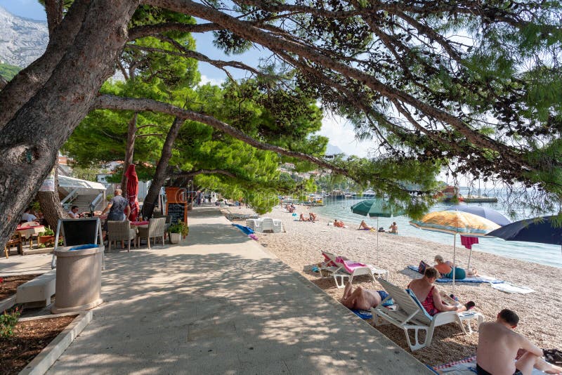 όμορφη ακτή της δαλματίας την υπέροχη ηλιόλουστη ημέρα στοκ φωτογραφία με δικαίωμα ελεύθερης χρήσης