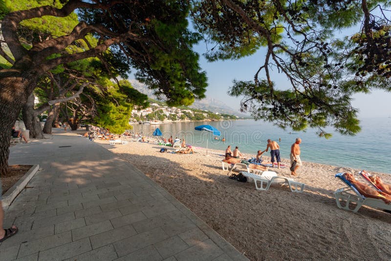 όμορφη ακτή της δαλματίας την υπέροχη ηλιόλουστη ημέρα στοκ φωτογραφία με δικαίωμα ελεύθερης χρήσης
