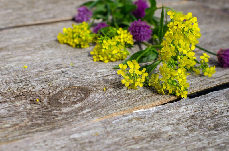 Όμορφη ανθοδέσμη των φωτεινών wildflowers, στον ξύλινο πίνακα στο αγροτικό υπόβαθρο στοκ εικόνα με δικαίωμα ελεύθερης χρήσης Όμορφη ανθοδέσμη των φωτεινών wildflowers, στον ξύλινο πίνακα στο αγροτικό υπόβαθρο στοκ εικόνα με δικαίωμα ελεύθερης χρήσης