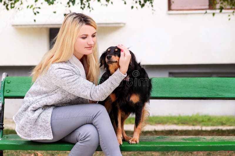 Όμορφη γυναίκα με τη μικρή μικτή συνεδρίαση και την τοποθέτηση σκυλιών φυλής του μπροστά από τη κάμερα στον ξύλινο πάγκο στο πάρκ στοκ εικόνες με δικαίωμα ελεύθερης χρήσης Όμορφη γυναίκα με τη μικρή μικτή συνεδρίαση και την τοποθέτηση σκυλιών φυλής του μπροστά από τη κάμερα στον ξύλινο πάγκο στο πάρκ στοκ εικόνες με δικαίωμα ελεύθερης χρήσης