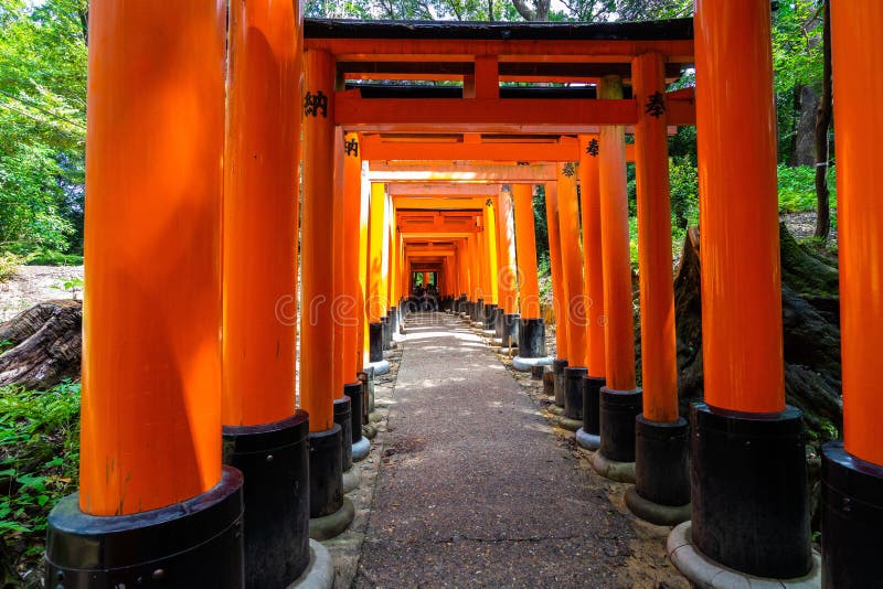η όμορφη διαδρομή στο ιερό του fushimi inari με χιλιάδες πύλες torii στην ιαπωνία