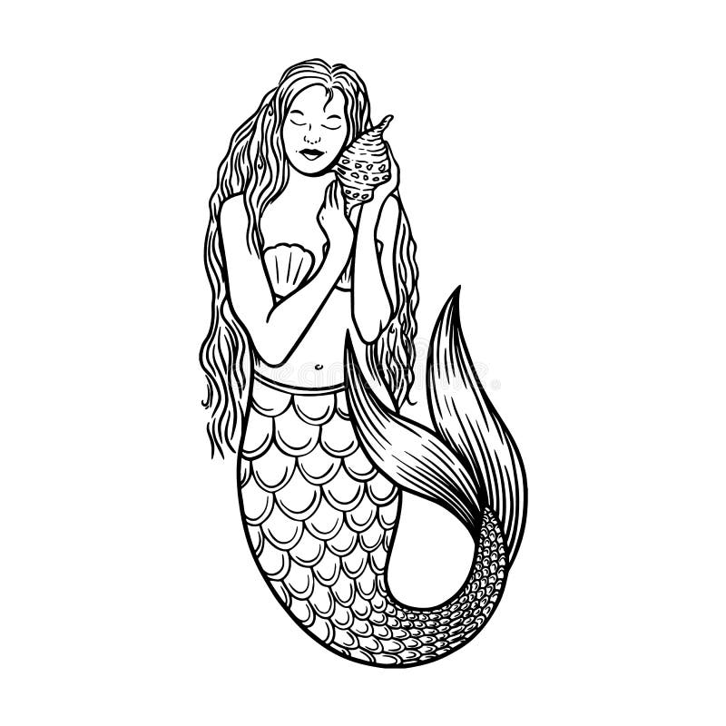 Beautiful young mermaid with the sea shell and pearl. Sea underwater fantasy creature with tail and decorative long hair. Hand drawn vector illustration, design for coloring book. Beautiful young mermaid with the sea shell and pearl. Sea underwater fantasy creature with tail and decorative long hair. Hand drawn vector illustration, design for coloring book