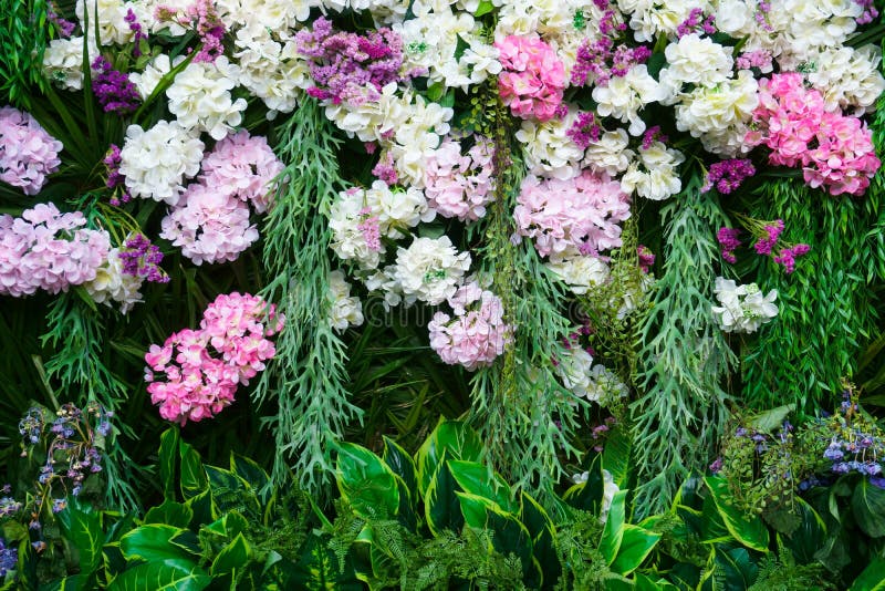 Όμορφο Hydrangea ανθίζει τον τοίχο με την ποικιλία των λουλουδιών στοκ φωτογραφία με δικαίωμα ελεύθερης χρήσης Όμορφο Hydrangea ανθίζει τον τοίχο με την ποικιλία των λουλουδιών στοκ φωτογραφία με δικαίωμα ελεύθερης χρήσης