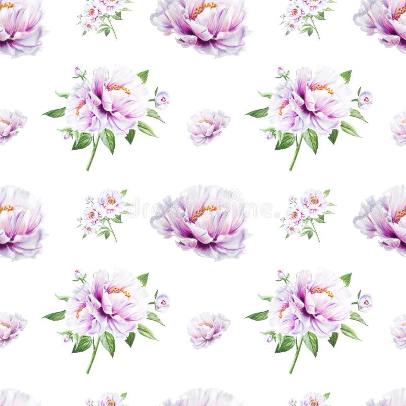 Όμορφο άσπρο peony άνευ ραφής σχέδιο r Floral σύσταση Σχέδιο δεικτών απεικόνιση αποθεμάτων Όμορφο άσπρο peony άνευ ραφής σχέδιο r Floral σύσταση Σχέδιο δεικτών απεικόνιση αποθεμάτων