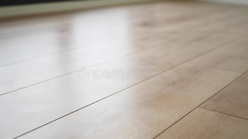 όμορφο και κομψό ελαφρύ ξύλο δαπέδου ταιριάζει τέλεια με ένα μοντέρνο εσωτερικό σχέδιο φιλμ μικρού μήκους