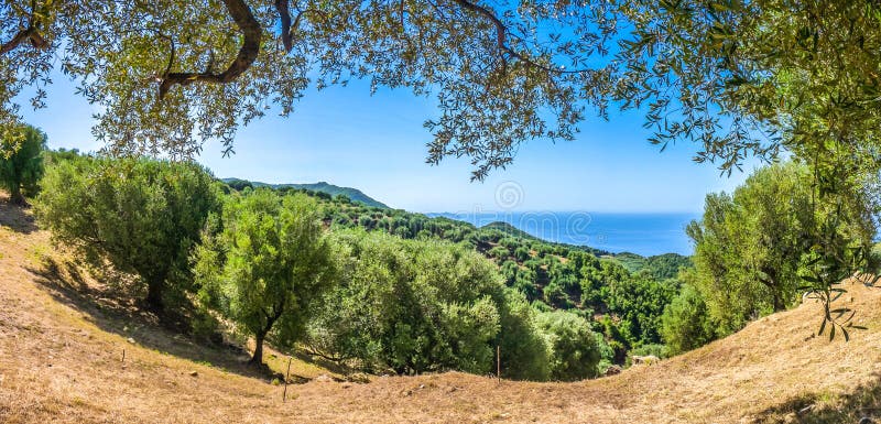 Όμορφο παράκτιο τοπίο στην ακτή Cilentan, Campania, Ιταλία στοκ εικόνες Όμορφο παράκτιο τοπίο στην ακτή Cilentan, Campania, Ιταλία στοκ εικόνες
