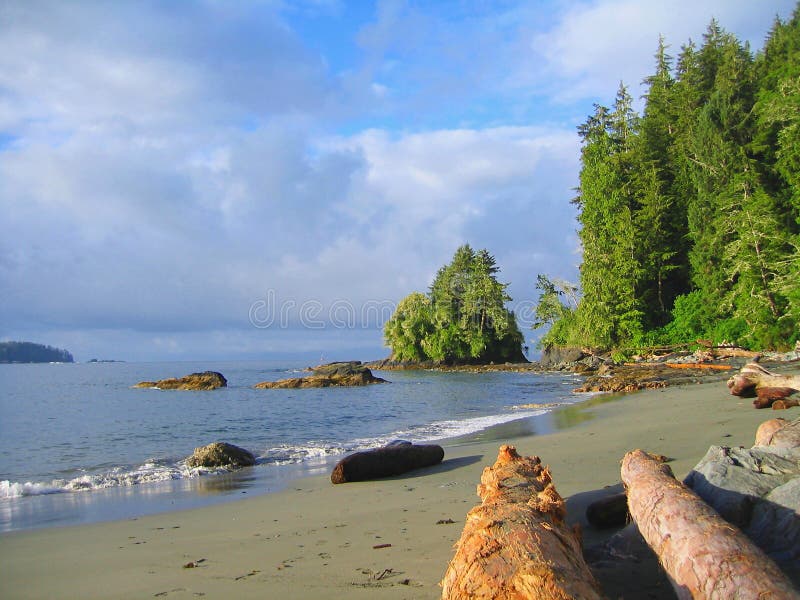 Όμορφο πρωινό φως στο Thrasher Cove, West Shore Trace, Pacific Rim National Park, Vancouver Island, British Columbia, Καναδάς στοκ φωτογραφία Όμορφο πρωινό φως στο Thrasher Cove, West Shore Trace, Pacific Rim National Park, Vancouver Island, British Columbia, Καναδάς στοκ φωτογραφία