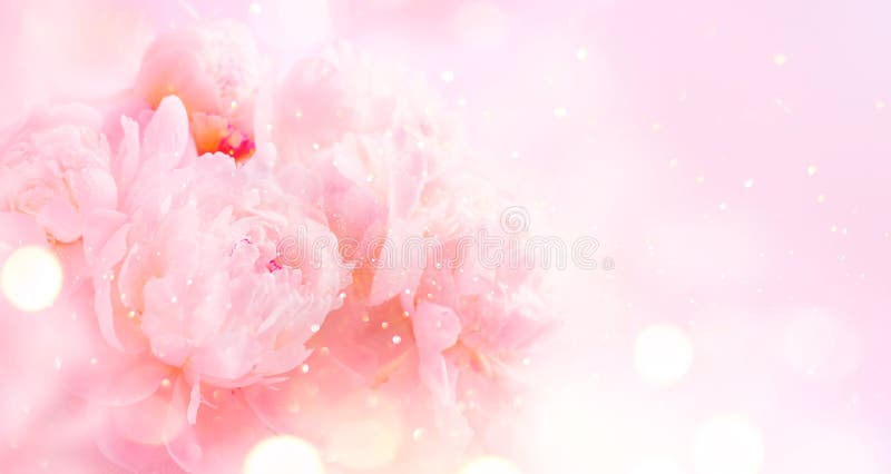 Όμορφο ρόδινο peony υπόβαθρο τέχνης ανθοδεσμών Ανθίζοντας κρητιδογραφία peony ή σχέδιο καρτών λουλουδιών συνόρων τριαντάφυλλων Γα στοκ εικόνα με δικαίωμα ελεύθερης χρήσης