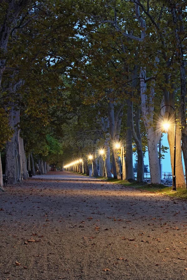 Όμορφο σοκάκι Sycamores κατά μήκος της λίμνης Balaton φωτισμένο από φανάρια Προβολή νωρίς το πρωί Φθινοπωρινό φυσικό τοπίο στοκ εικόνες Όμορφο σοκάκι Sycamores κατά μήκος της λίμνης Balaton φωτισμένο από φανάρια Προβολή νωρίς το πρωί Φθινοπωρινό φυσικό τοπίο στοκ εικόνες