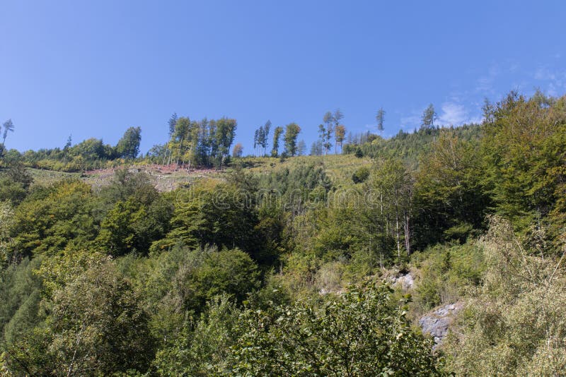 Όμορφο τοπίο βουνών με τη λίμνη δίπλα σε Werfenweng στοκ εικόνα με δικαίωμα ελεύθερης χρήσης