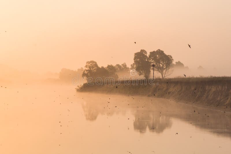 όμορφο τοπίο με τη λίμνη και ακτή στη misty ανατολή στοκ εικόνες με δικαίωμα ελεύθερης χρήσης