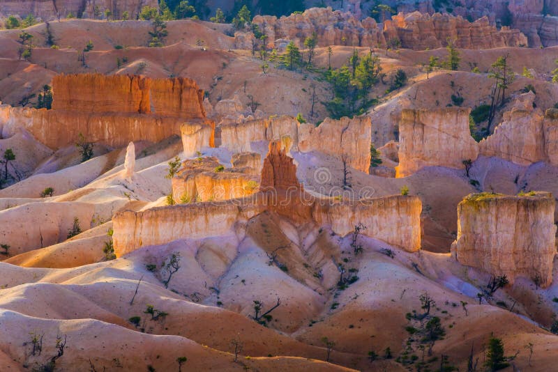 Beautiful landscape in Bryce Canyon with magnificent Stone formation like Amphitheater, temples, figures in Morning light. Beautiful landscape in Bryce Canyon with magnificent Stone formation like Amphitheater, temples, figures in Morning light