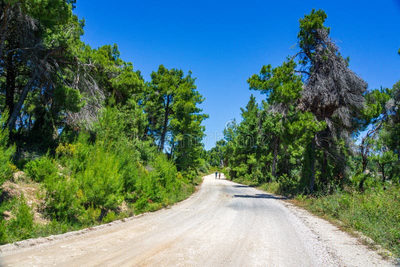 όμορφο φυσικό τοπίο στο δρόμο προς μεγάλα ammos ή μεγάλη παραλία με άμμο στη δυτική νήσο αλονίσος ελλάδα