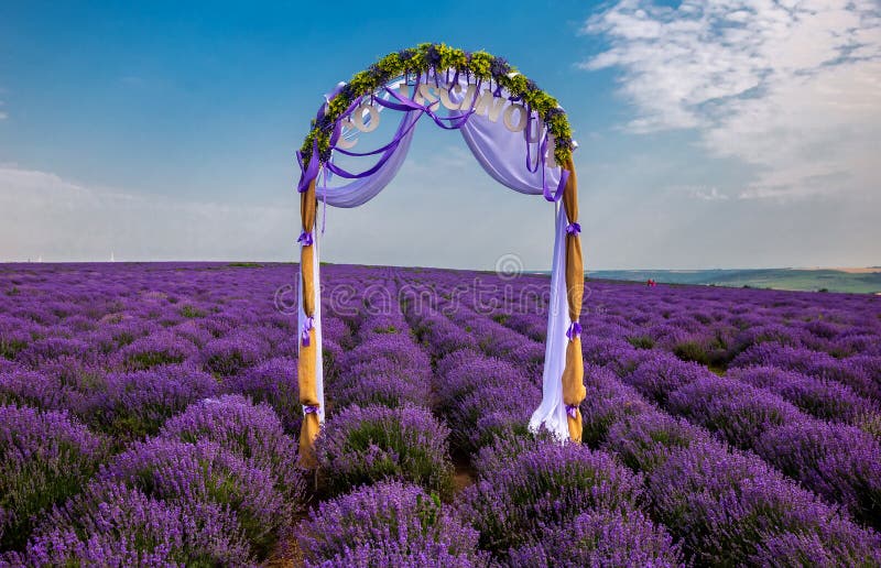 Όμορφοι lavender τομείς μια ηλιόλουστη ημέρα Μολδαβία στοκ εικόνα