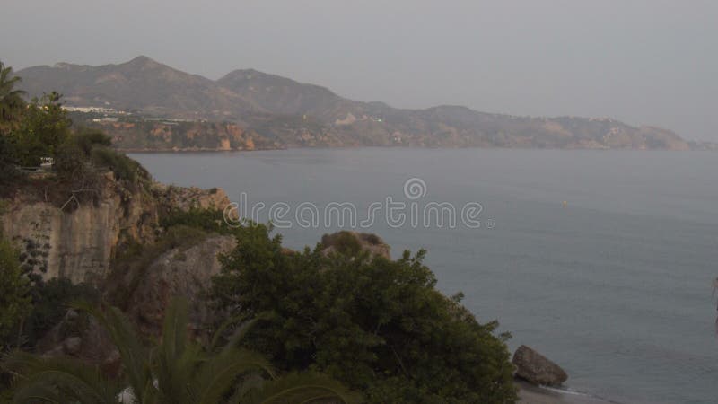 Όμορφοι καραϊβικοί θάλασσα και φοίνικες απόθεμα βίντεο
