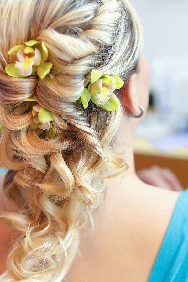Όμορφος γάμος hairstyle - οπισθοσκόπος στοκ εικόνες με δικαίωμα ελεύθερης χρήσης Όμορφος γάμος hairstyle - οπισθοσκόπος στοκ εικόνες με δικαίωμα ελεύθερης χρήσης