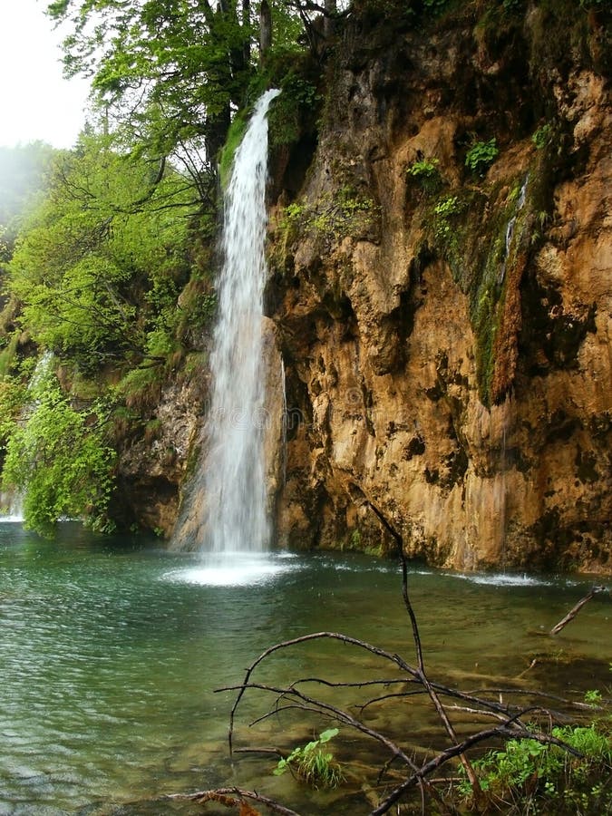 όμορφος δασικός καταρράκ στοκ εικόνες με δικαίωμα ελεύθερης χρήσης