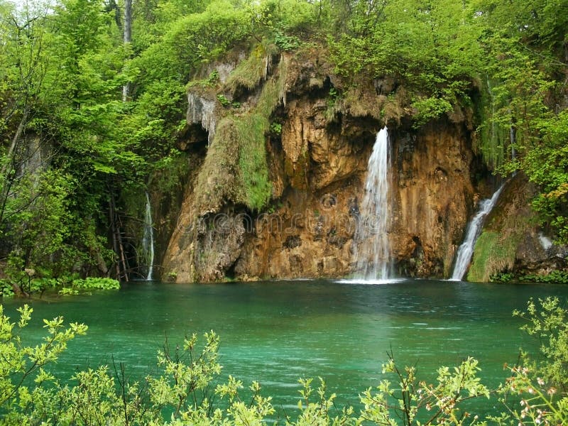 όμορφος δασικός καταρράκ στοκ εικόνα
