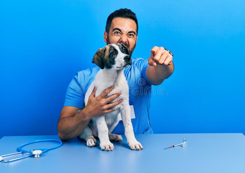 Handsome hispanic veterinary man with beard checking dog health pointing displeased and frustrated to the camera, angry and furious with you. Handsome hispanic veterinary man with beard checking dog health pointing displeased and frustrated to the camera, angry and furious with you