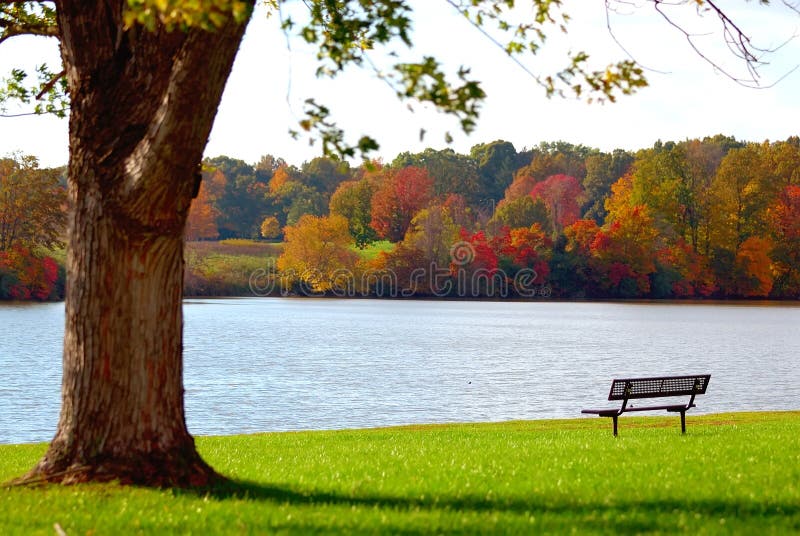 Bench With A View - Focus is on the lone bench where one can sit and admire the beauty of nature in the autumn of the year. Shallow depth of field. Bench With A View - Focus is on the lone bench where one can sit and admire the beauty of nature in the autumn of the year. Shallow depth of field.