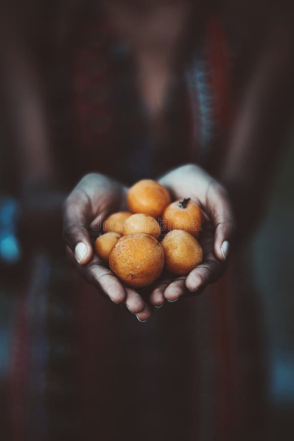 Ώριμα φρούτα μουσμουλιών στα θηλυκά χέρια