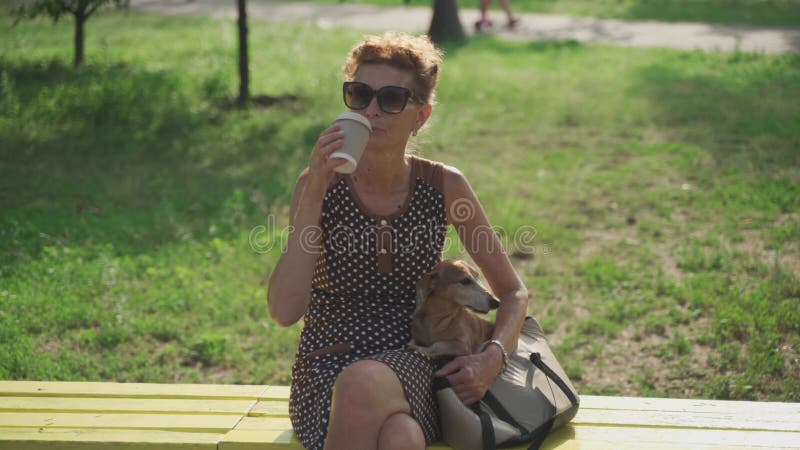 ώριμη γυναίκα με φόρεμα και γυαλιά ηλίου, που πίνει καφέ, κάθεται στο πάρκο με το μικρό της σκυλί σε σακκούλα ράτσα απόθεμα βίντεο