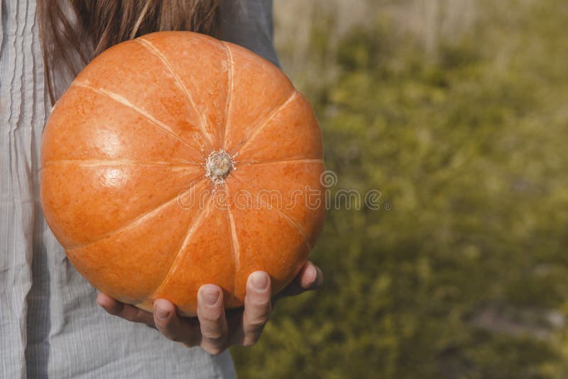 1 orange ripe fresh round pumpkin in a girl`s hand on a green background. 1 orange ripe fresh round pumpkin in a girl`s hand on a green background