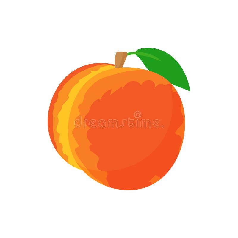Ripe whole peach icon in cartoon style on a white background. Ripe whole peach icon in cartoon style on a white background