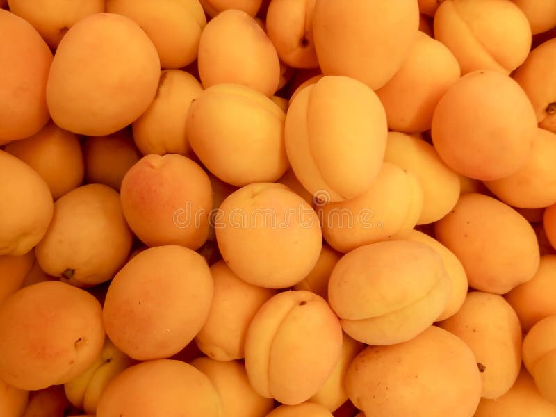 Ώριμο υπόβαθρο φρούτων βερίκοκων juicy στοκ εικόνα Ώριμο υπόβαθρο φρούτων βερίκοκων juicy στοκ εικόνα