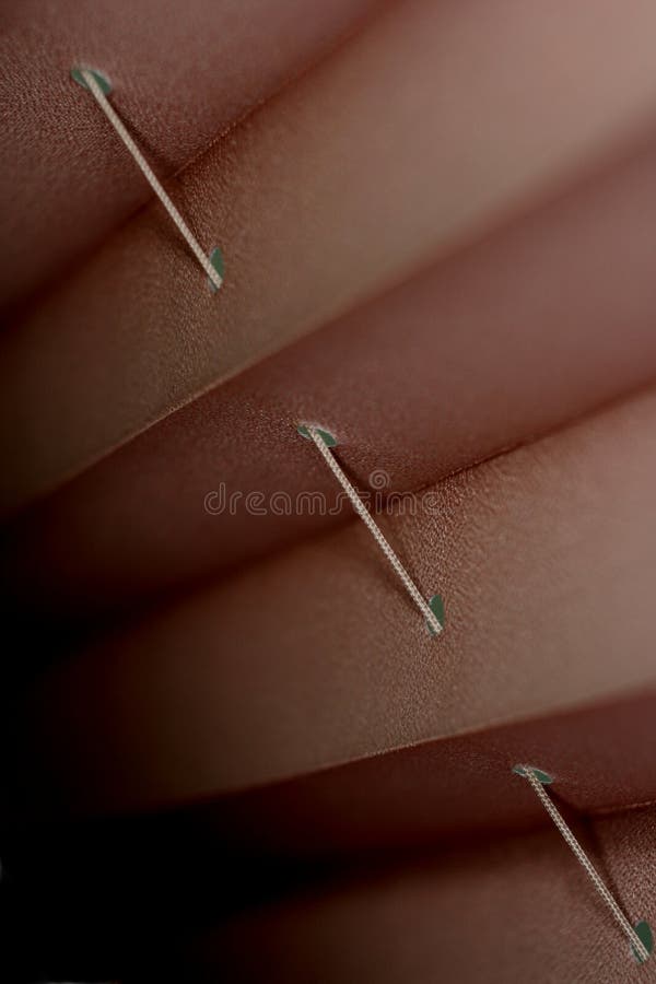 Macro of textured window blinds with string and holes making an abstract background. Macro of textured window blinds with string and holes making an abstract background.