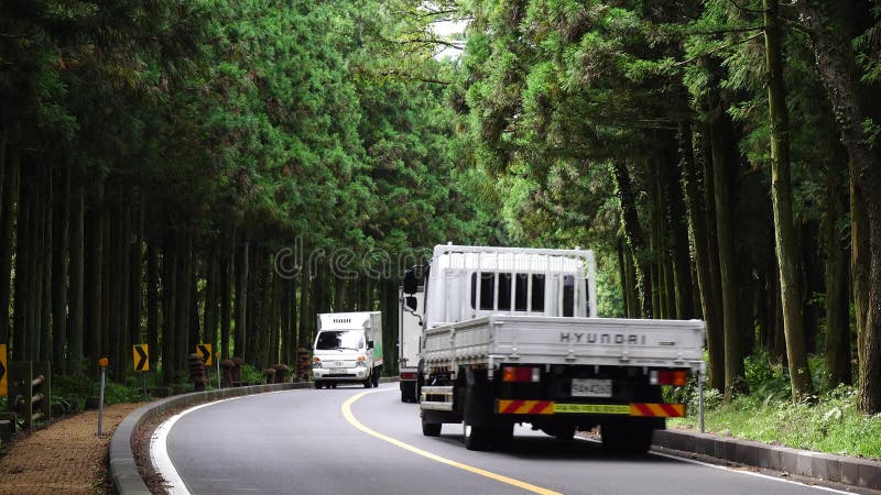 Автомобили бегут на улице на лесе Halla в Jeju, Корее видеоматериал
