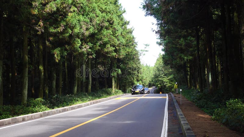 Автомобили на улице в Jeju, Южной Корее видеоматериал