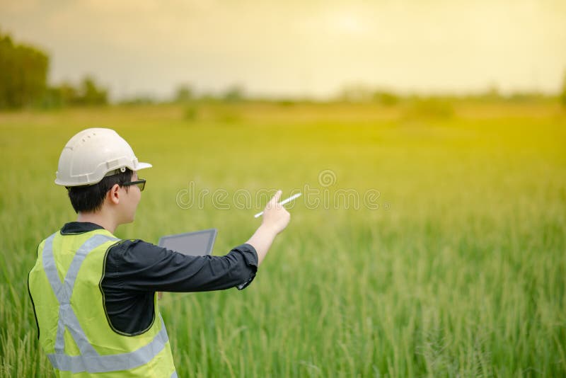 Азиатский мужской agronomist наблюдающ на поле риса стоковое фото Азиатский мужской agronomist наблюдающ на поле риса стоковое фото