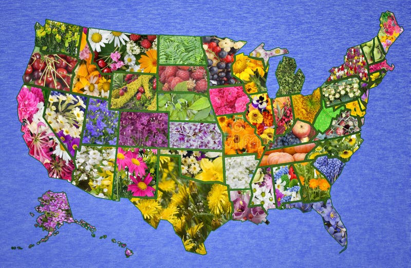 USA American high resolution map from flowers and plants- great green America country concept. Collage from only author photos- please see. USA American high resolution map from flowers and plants- great green America country concept. Collage from only author photos- please see