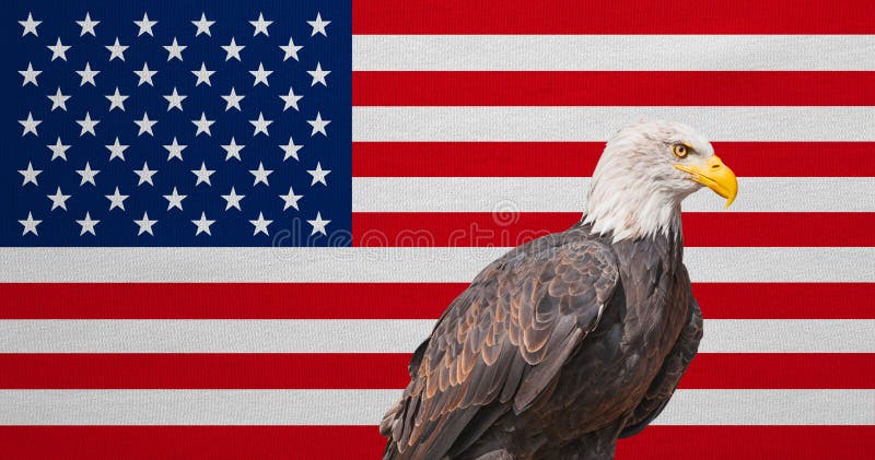 Американский флаг, белоголовый орлан, национальные символы США стоковое изображение Американский флаг, белоголовый орлан, национальные символы США стоковое изображение