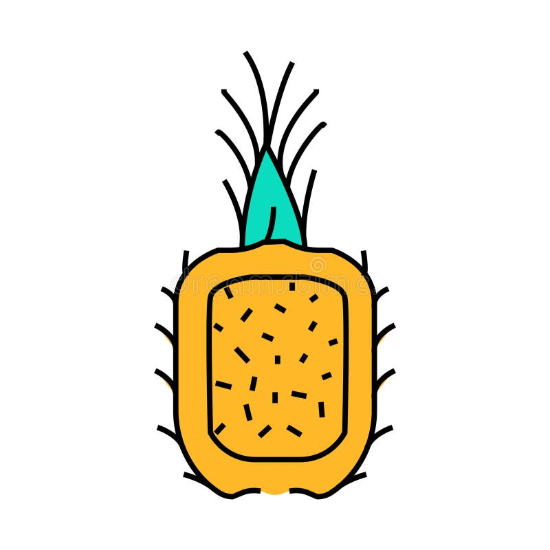 ананас жареный рис таи кухня icon цвет иллюстрация иллюстрация вектора