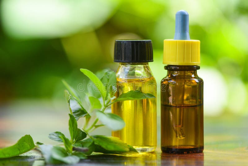 Аромат бутылок нефти естественной и зеленой фона aromatherapy святого эфирного масла базилика травяная с образованиями листьев тра стоковое фото rf