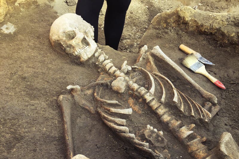 Археологические раскопки и находят косточки скелета в человеческом захоронении, инструмента деятельности, правителя, ножа, щетки, стоковое фото Археологические раскопки и находят косточки скелета в человеческом захоронении, инструмента деятельности, правителя, ножа, щетки, стоковое фото