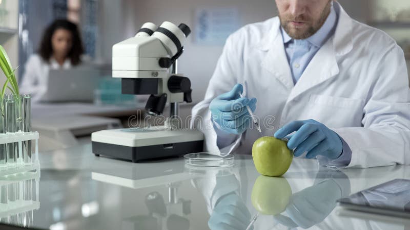 Lab assistant injecting apple with portion of pesticide for marketable condition, stock photo. Lab assistant injecting apple with portion of pesticide for marketable condition, stock photo