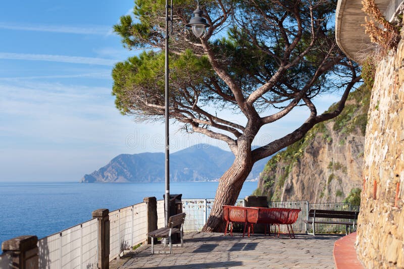 Балкон с стендами и сосна на утесах городка Riomaggiore в национальном парке Cinque Terre, Италии стоковые фото Балкон с стендами и сосна на утесах городка Riomaggiore в национальном парке Cinque Terre, Италии стоковые фото