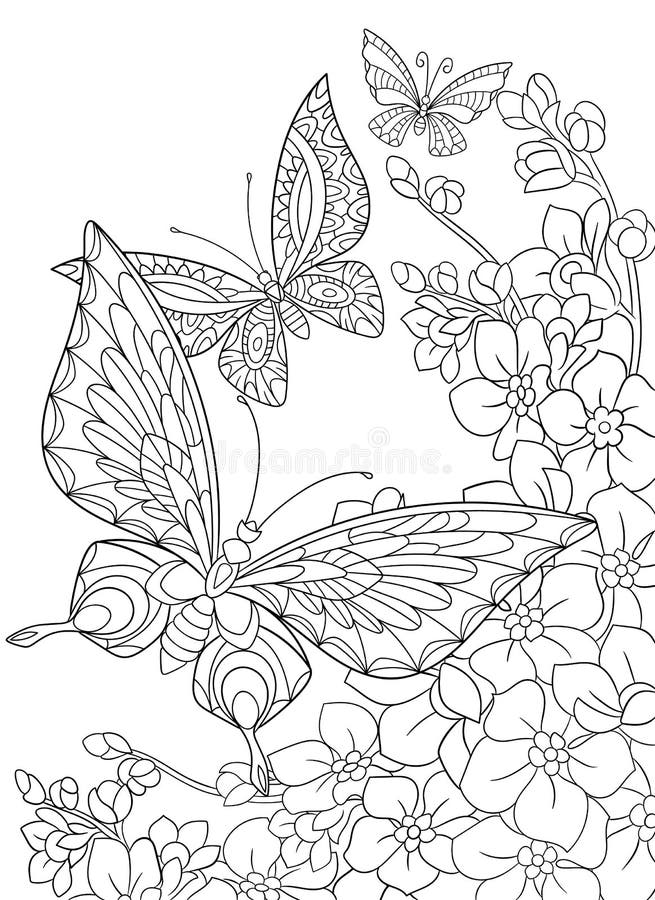 Zentangle stylized cartoon butterfly and sakura flower isolated on white background. Sketch for adult antistress coloring page. Hand drawn floral, doodle, zentangle design elements for coloring book. Zentangle stylized cartoon butterfly and sakura flower isolated on white background. Sketch for adult antistress coloring page. Hand drawn floral, doodle, zentangle design elements for coloring book.