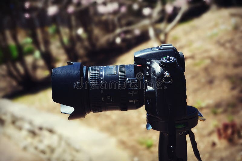 белизна путя клиппирования камеры предпосылки изолированная dslr стоковое фото белизна путя клиппирования камеры предпосылки изолированная dslr стоковое фото