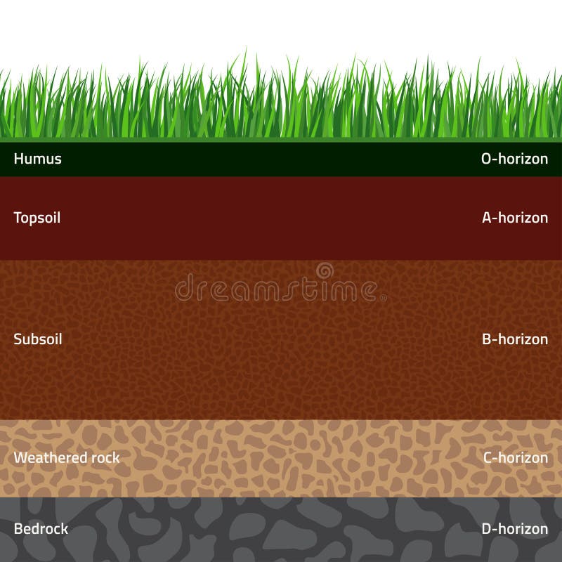 Seamless named soil layers with green grass on top. The stratum of organic, minerals, sand, clay, silt, parent rock and unweathered parent material. Seamless named soil layers with green grass on top. The stratum of organic, minerals, sand, clay, silt, parent rock and unweathered parent material.