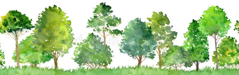 Мелколиственный лес рисунок