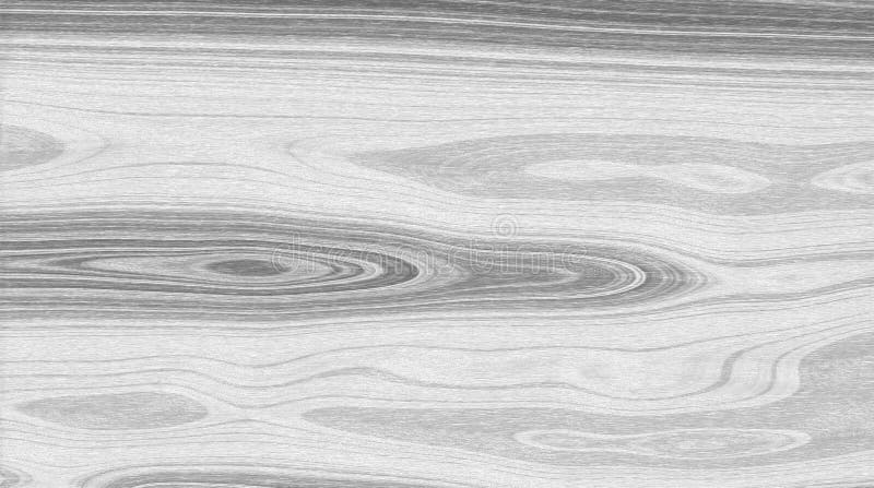 Белая текстура предпосылки соснового леса, monochrome стоковое фото Белая текстура предпосылки соснового леса, monochrome стоковое фото