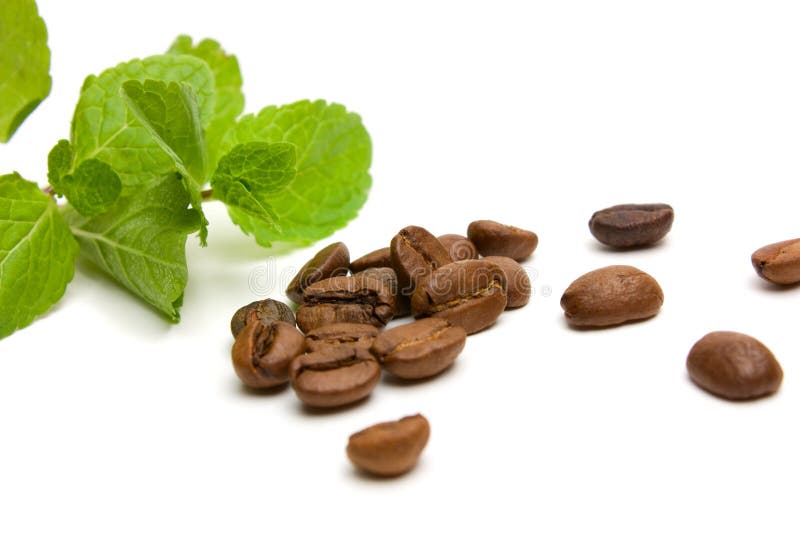 Fresh green peppermint and coffee beans on white background. Fresh green peppermint and coffee beans on white background