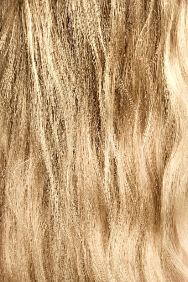 Woman blond and goldish hair. Woman blond and goldish hair.