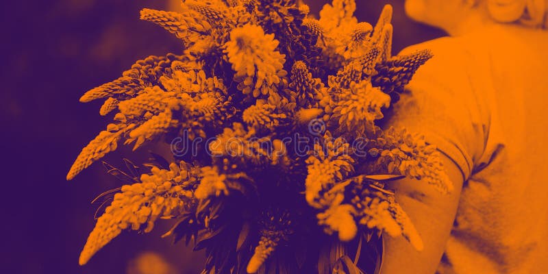 Белокурая зрелая толстая женщина держа lupine букет на предпосылке природы Концепция красоты и позитва тела Свет захода солнца стоковые изображения Белокурая зрелая толстая женщина держа lupine букет на предпосылке природы Концепция красоты и позитва тела Свет захода солнца стоковые изображения