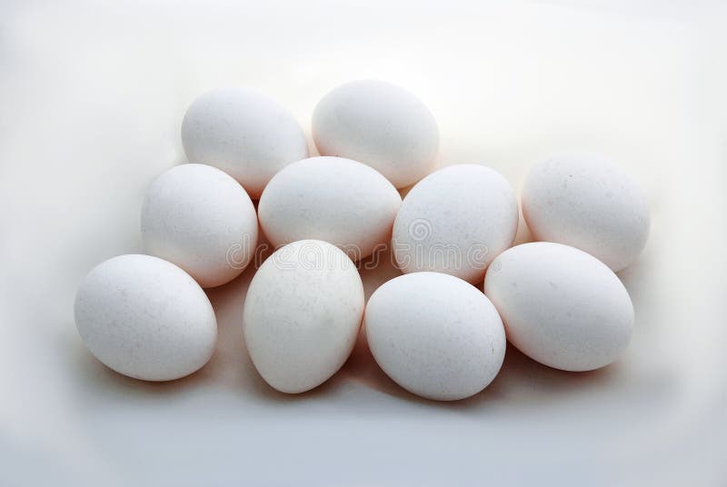 Ten raw uncooked white chicken eggs closeup on white background. Ten raw uncooked white chicken eggs closeup on white background